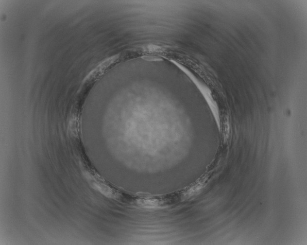 X0000081440419200702092229