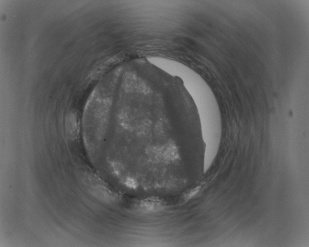 X0000081440420200702092229