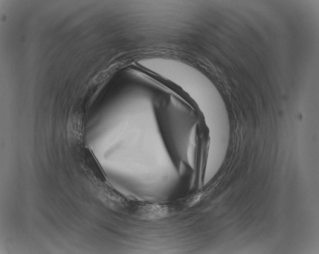 X0000081440421200702092229