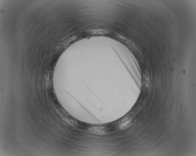 X0000081440422200702092229