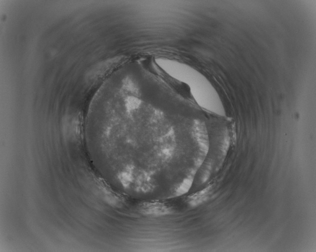X0000081440424200702092229