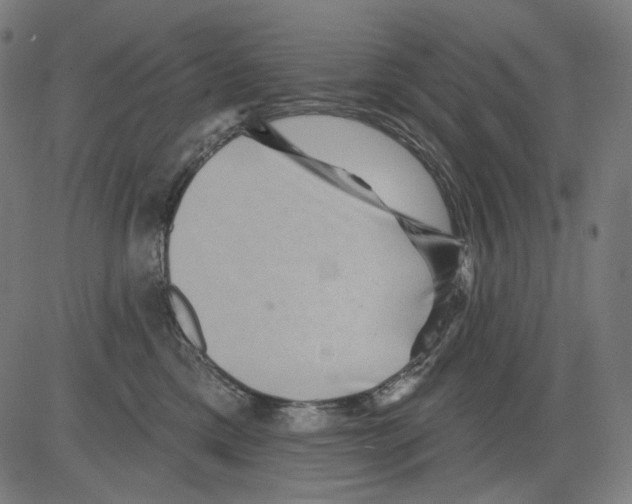 X0000081440425200702092229