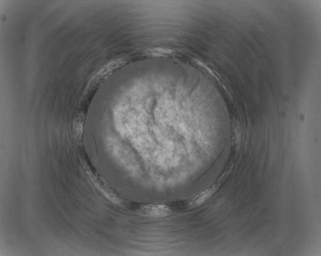 X0000081440427200702092229