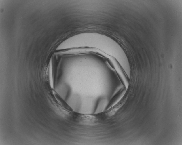 X0000081440429200702092229
