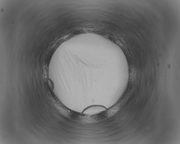 X0000081440430200702092229