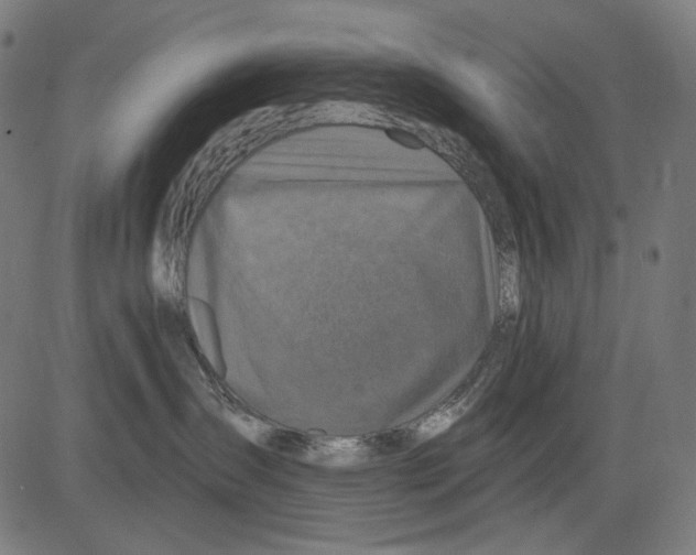 X0000081440431200702092229