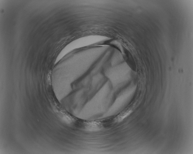 X0000081440432200702092229