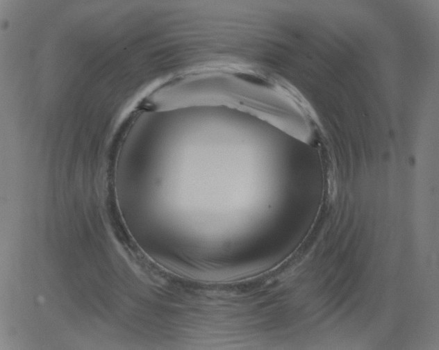 X0000081440436200702092228