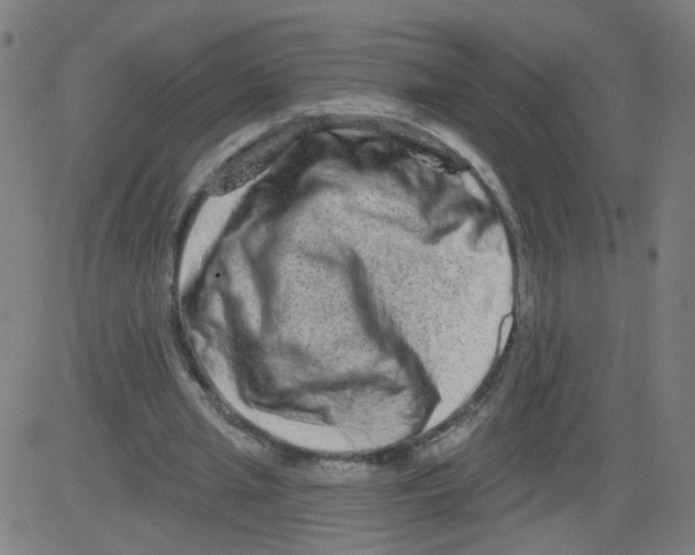 X0000081440437200702092228