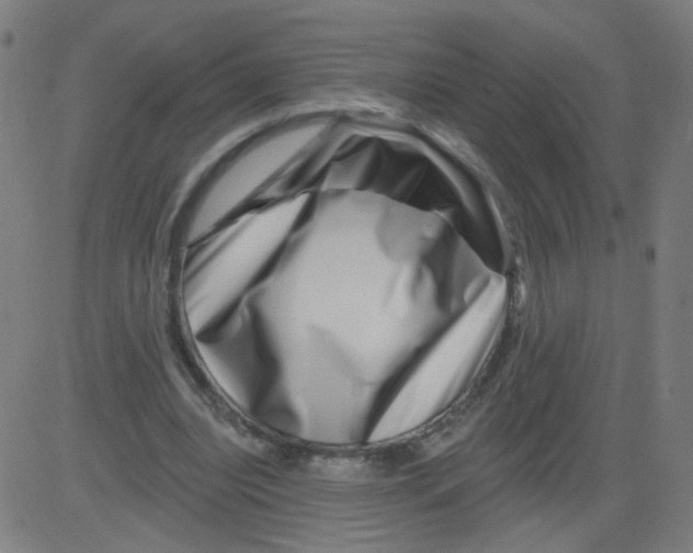 X0000081440440200702092229