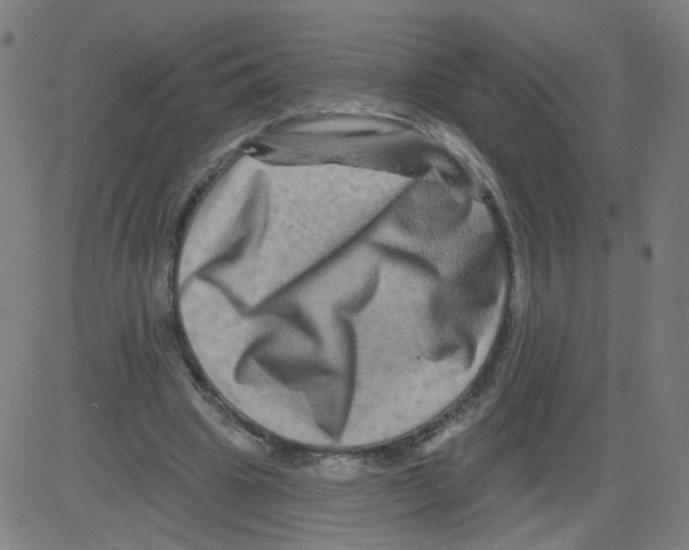 X0000081440441200702092229