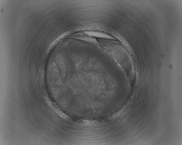 X0000081440442200702092229