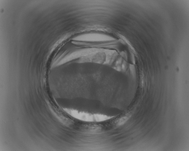 X0000081440443200702092229