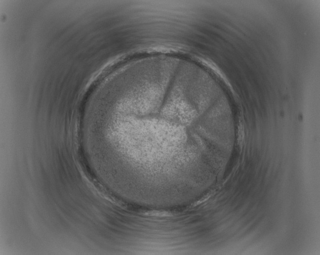 X0000081440444200702092229