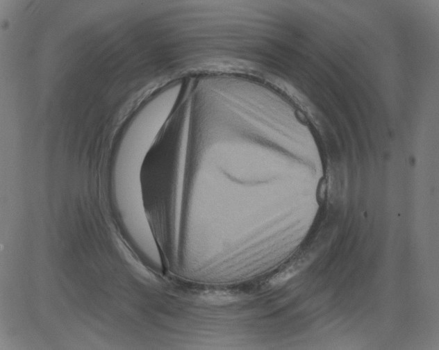 X0000081440445200702092229