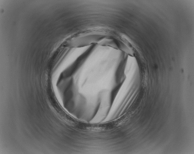 X0000081440448200702092229