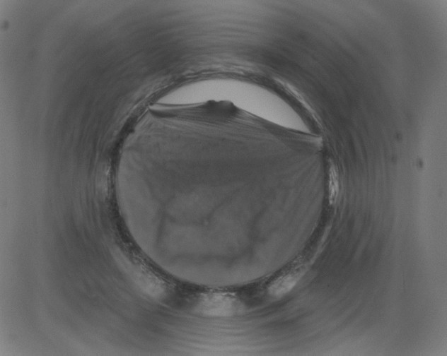 X0000081440451200702092229
