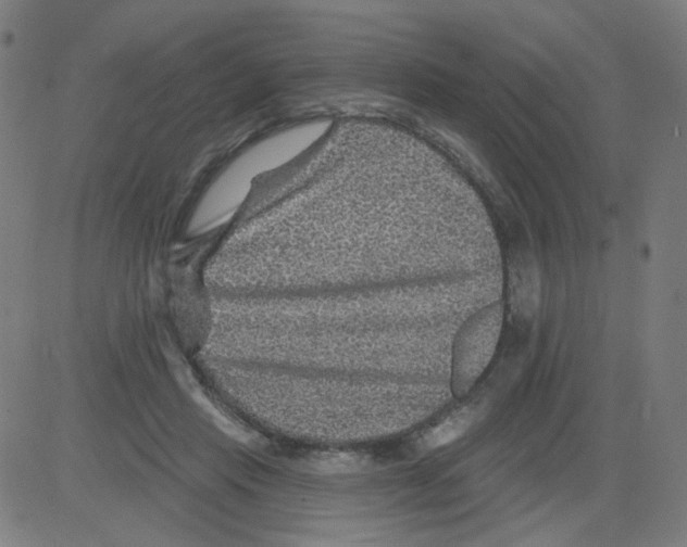 X0000081440453200702092229