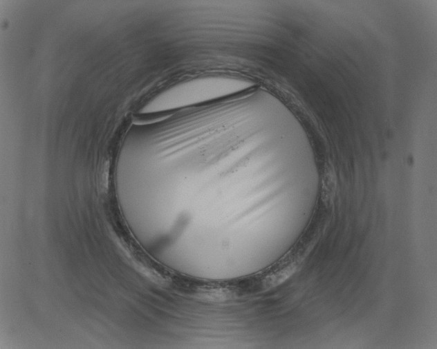 X0000081440454200702092229