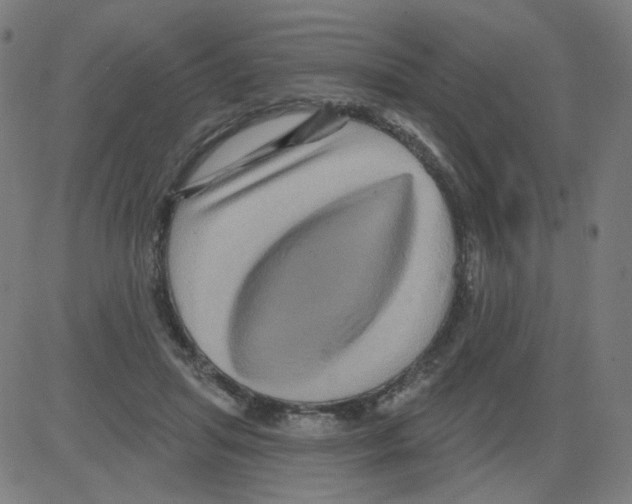 X0000081440455200702092229