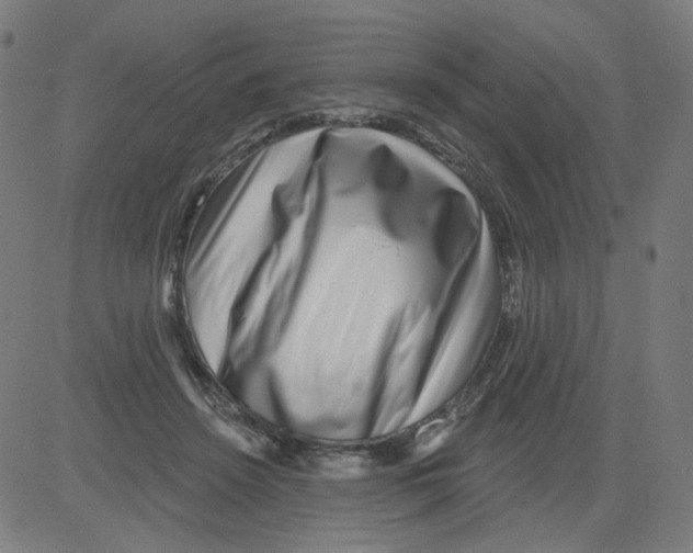 X0000081440456200702092229
