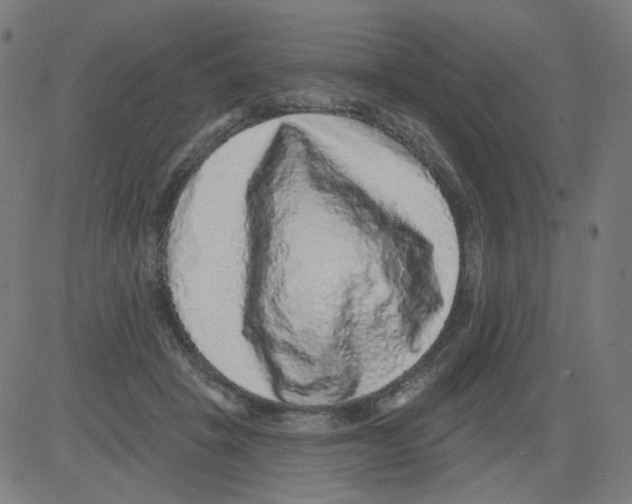 X0000081440457200702092229
