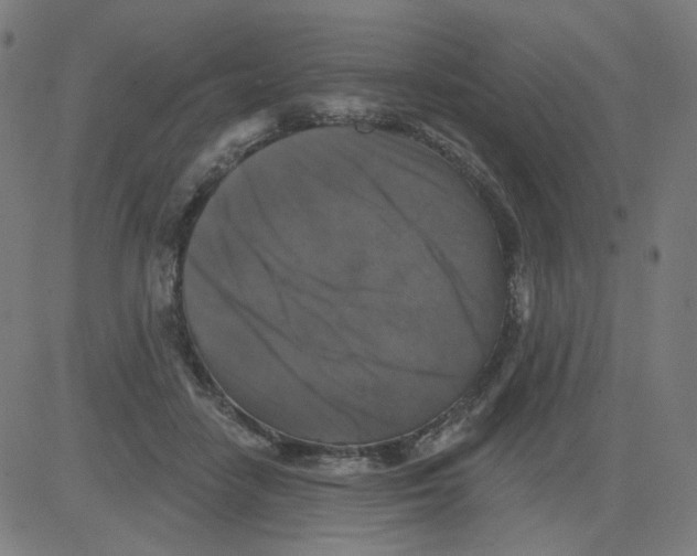 X0000081440458200702092229