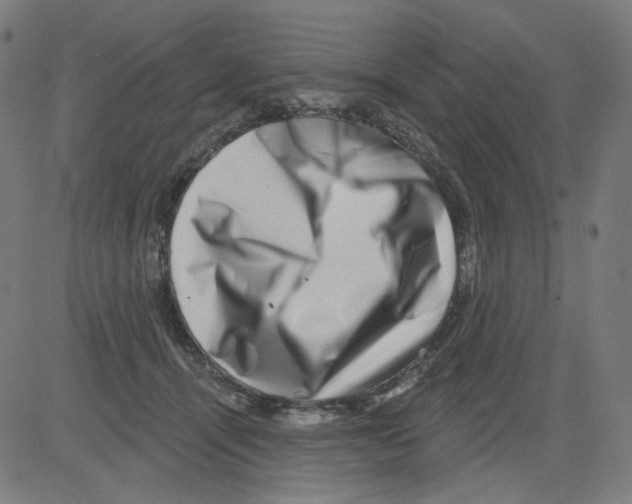 X0000081440464200702092229
