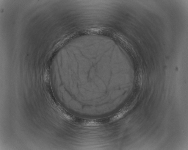 X0000081440467200702092229