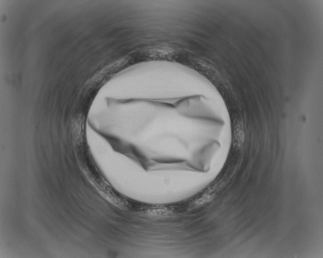X0000081440468200702092229