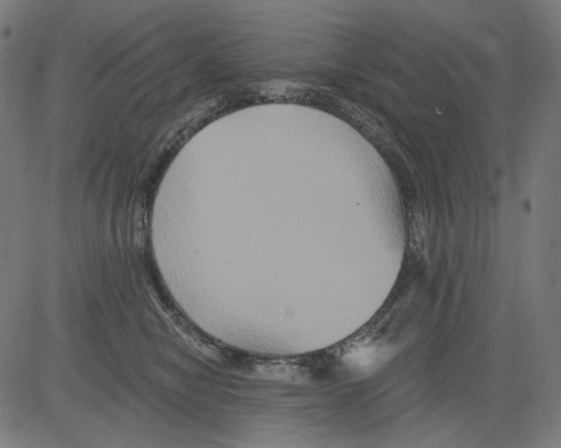 X0000081440470200702092229