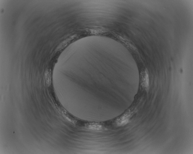 X0000081440471200702092229