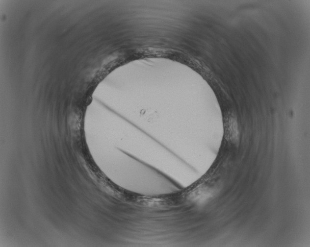 X0000081440472200702092229