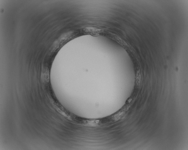 X0000081440474200702092229