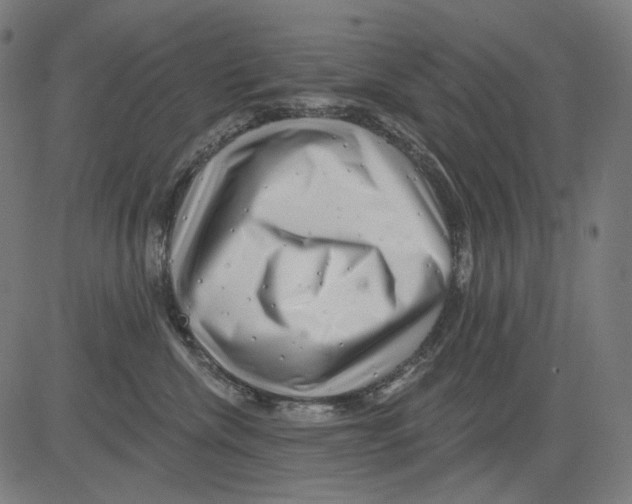 X0000081440476200702092229