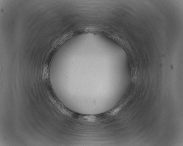X0000081440478200702092229