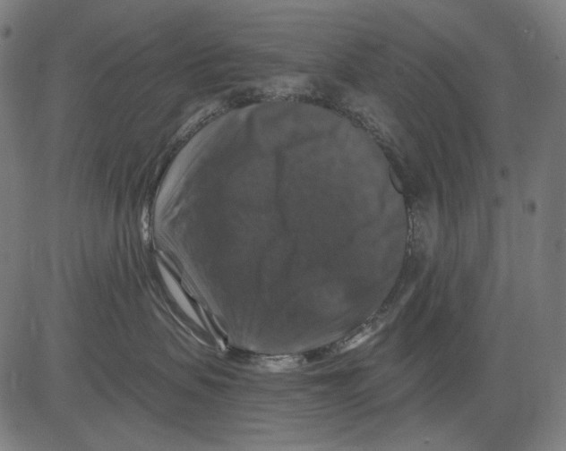 X0000081440479200702092229