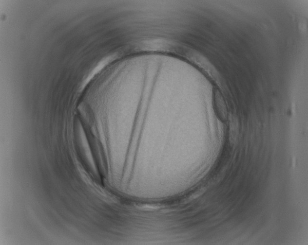 X0000081440482200702092228