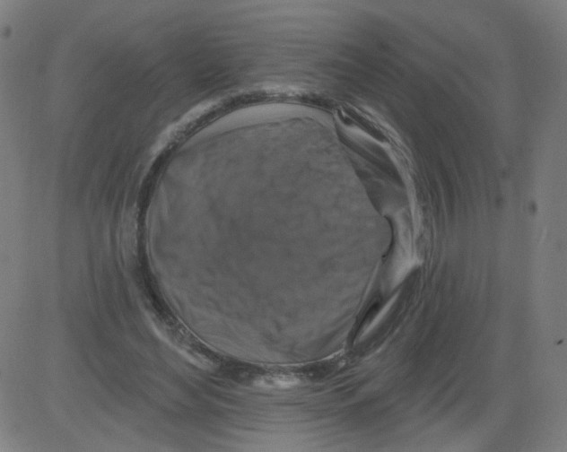 X0000081440492200702092228