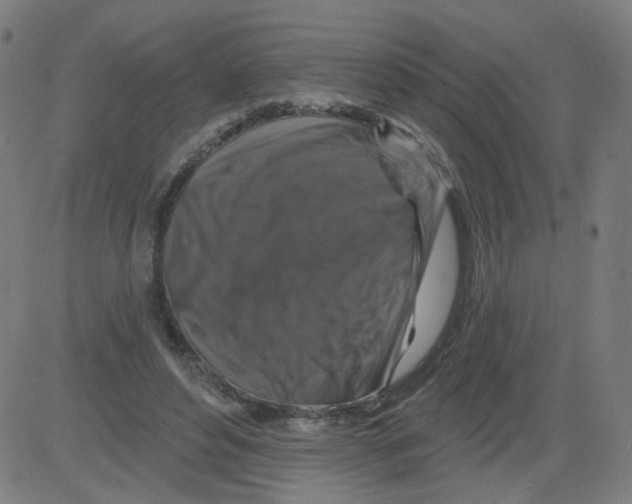 X0000081440496200702092228