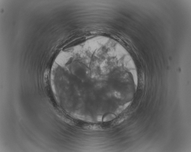 X0000081440503200702092228