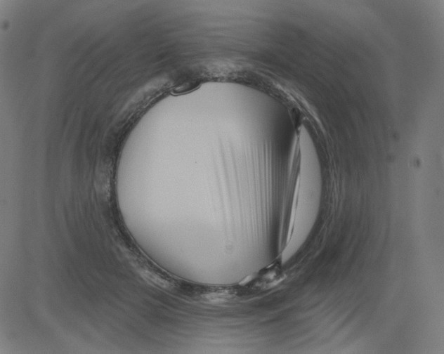 X0000081440505200702092228