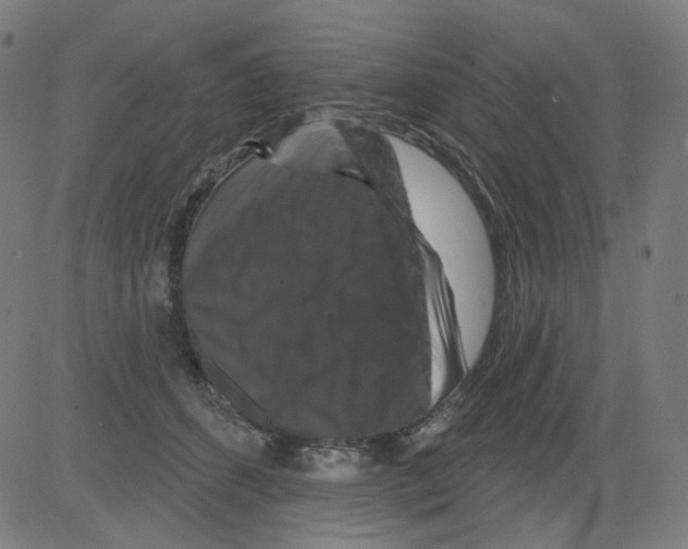 X0000081440512200702092228