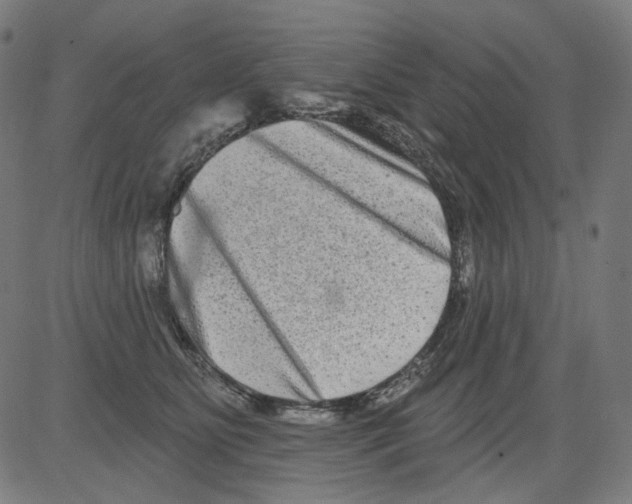 X0000081440515200702092228