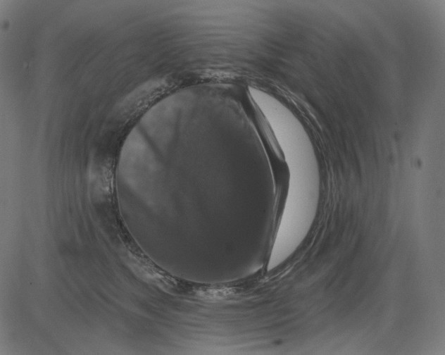 X0000081440517200702092228