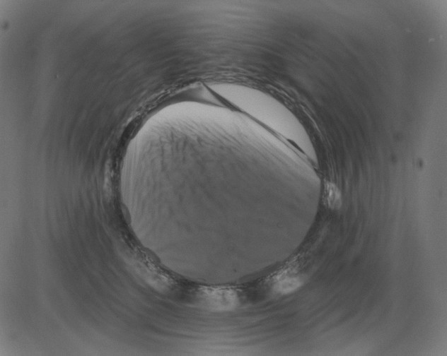 X0000081440520200702092228