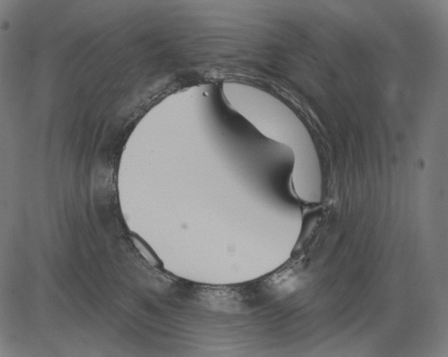 X0000081440521200702092228