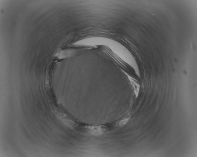 X0000081440524200702092228