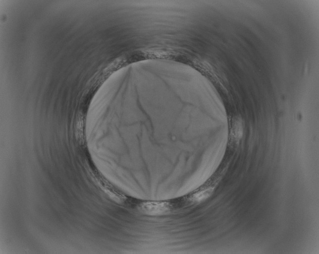 X0000081440526200702092228