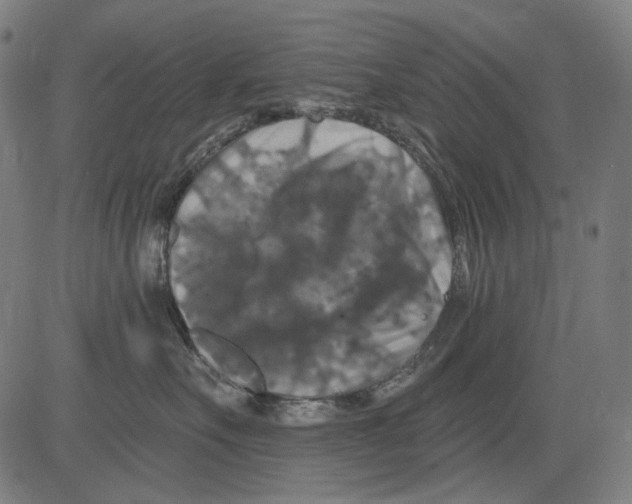X0000081440527200702092228